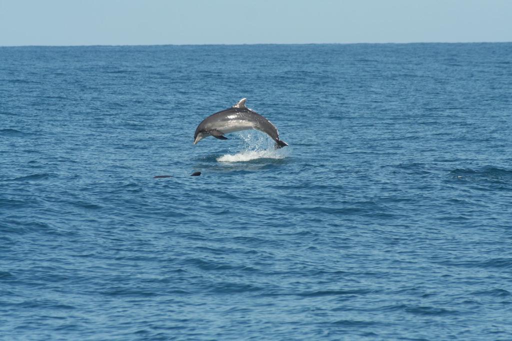 Vacanze A Viareggio Cameră foto