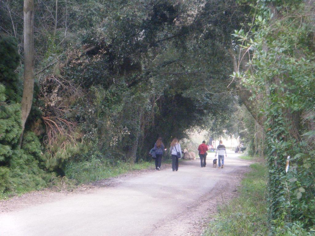 Vacanze A Viareggio Cameră foto
